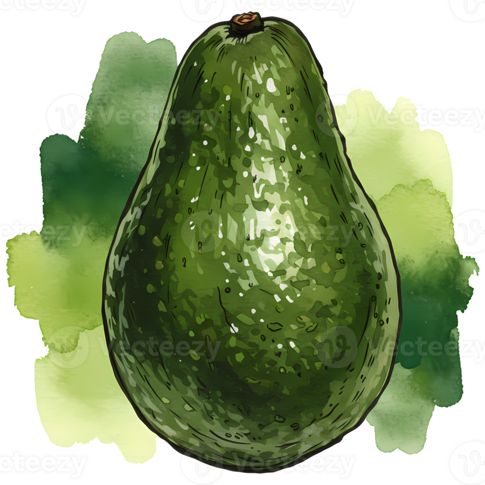 A single avocado with green watercolor splashes on a plain setting, vibrant and fresh looking art piece on transparent background png