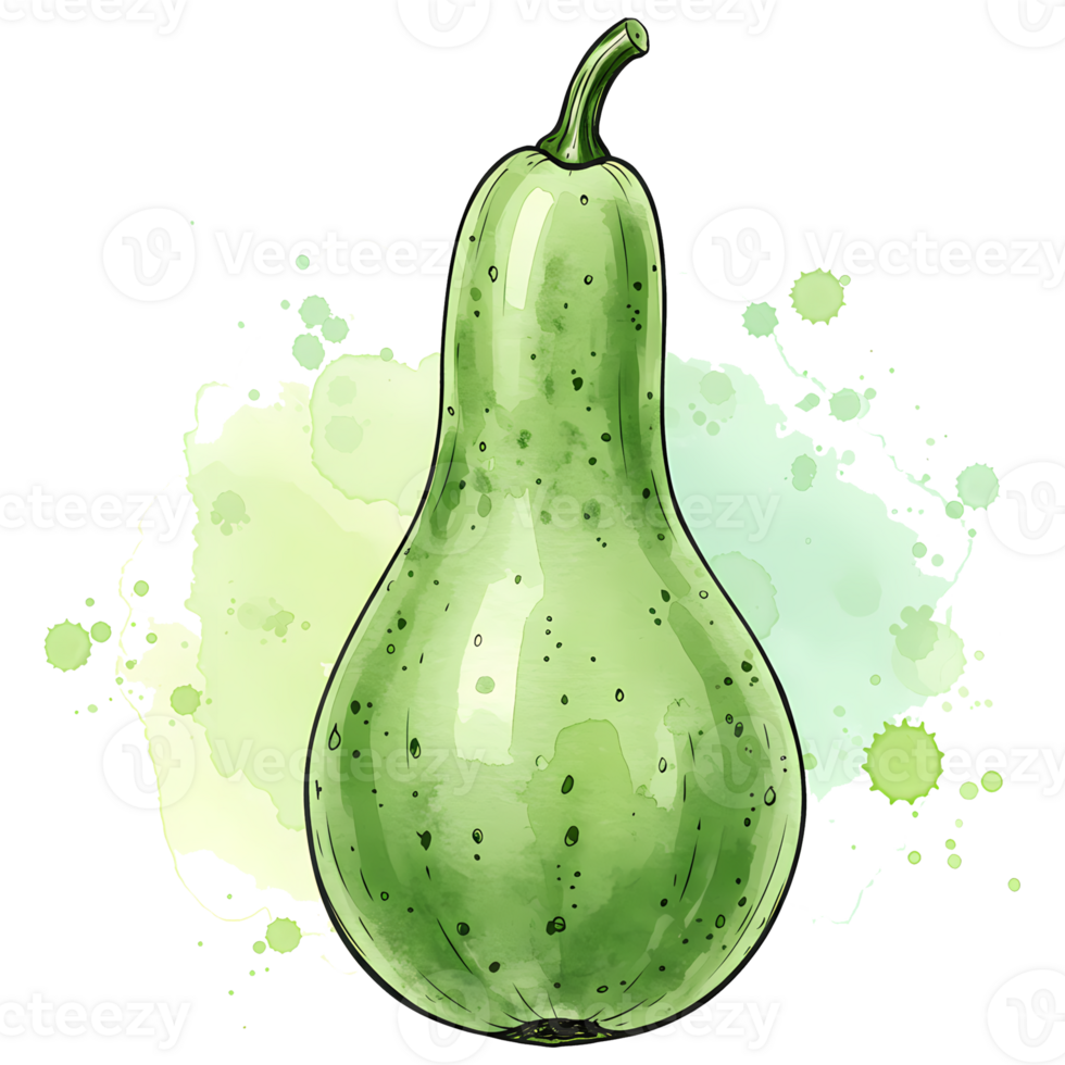 A watercolor style drawing of a light green bottle gourd with spots and a light green splash behind it on transparent background png
