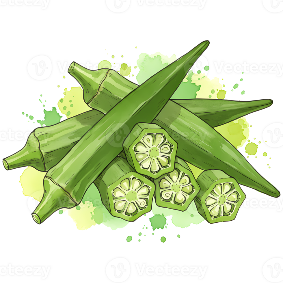 A group of whole and sliced okra pods with a light green watercolor splash on a transparent space on transparent background png