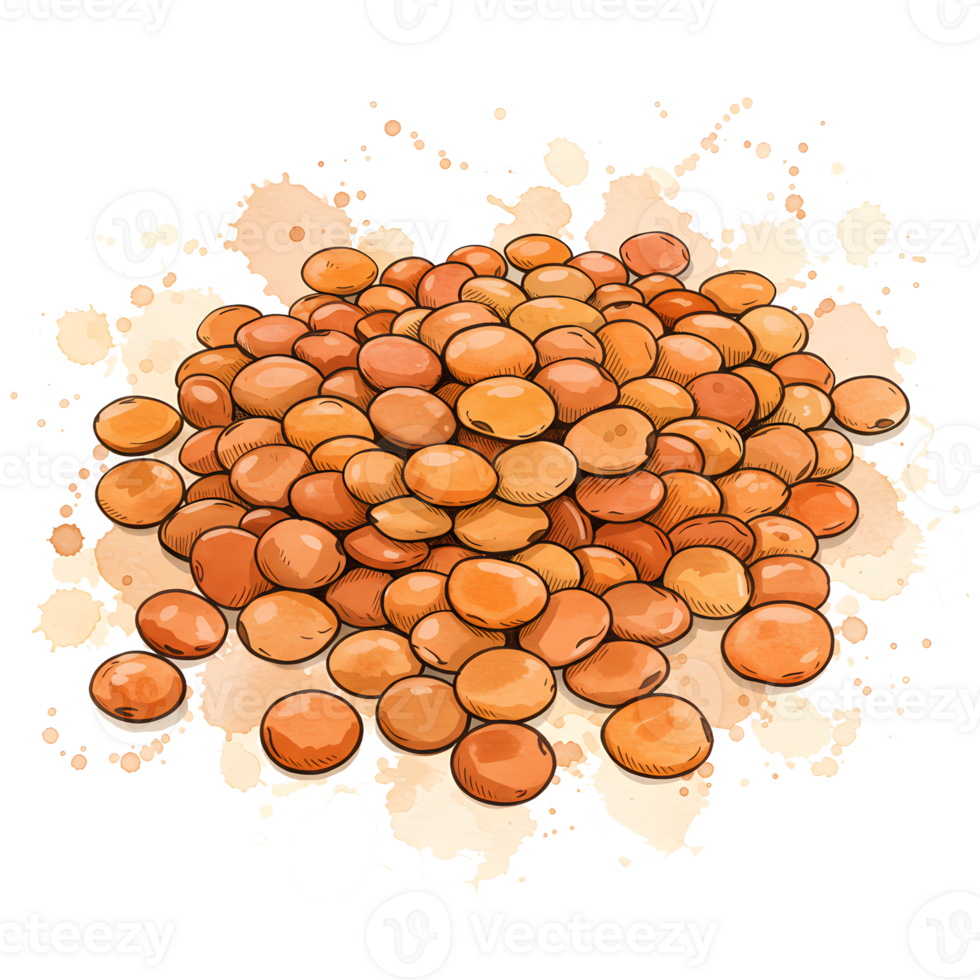 A pile of orange lentils with a watercolor style splash behind them on a transparent canvas look on transparent background png