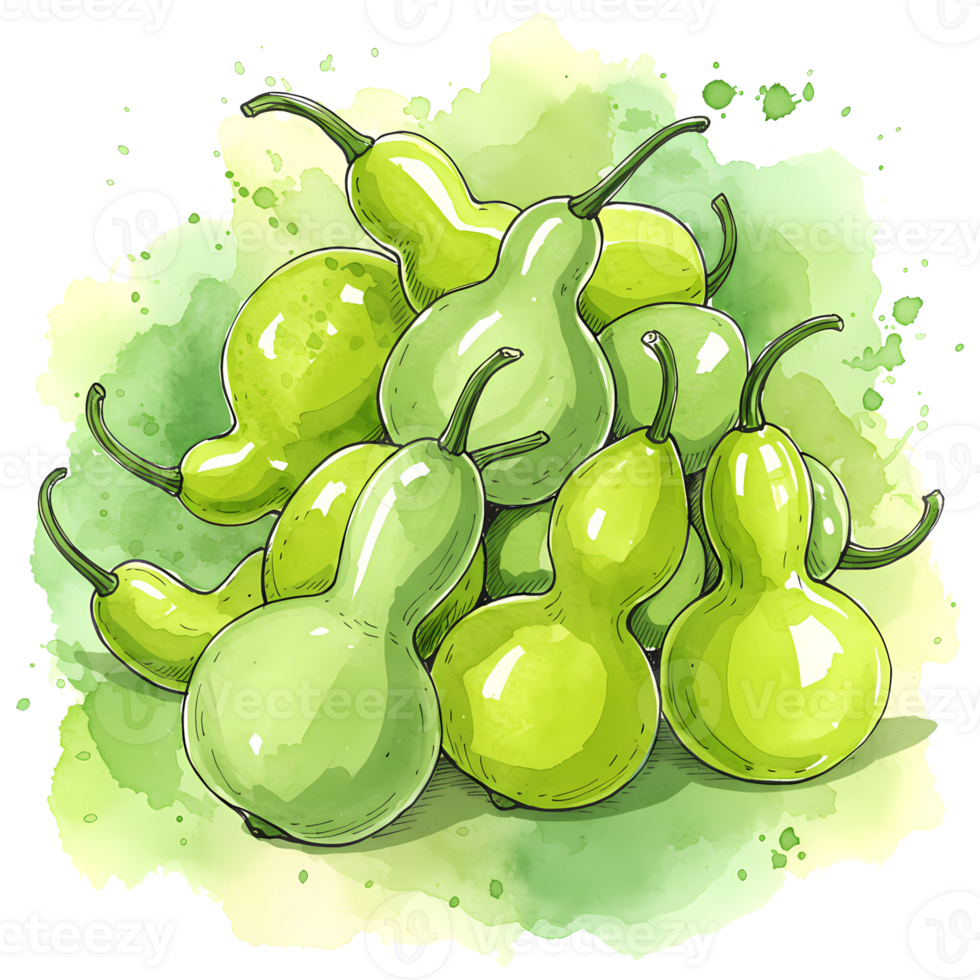 A group of light green bottle gourds piled together with a light green watercolor style background effect on transparent background png