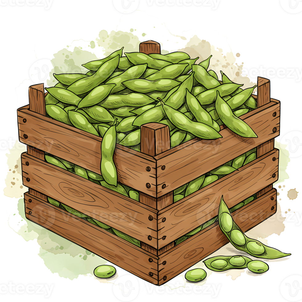 A wooden crate overflowing with fresh green edamame pods and loose beans on a light surface art on transparent background png