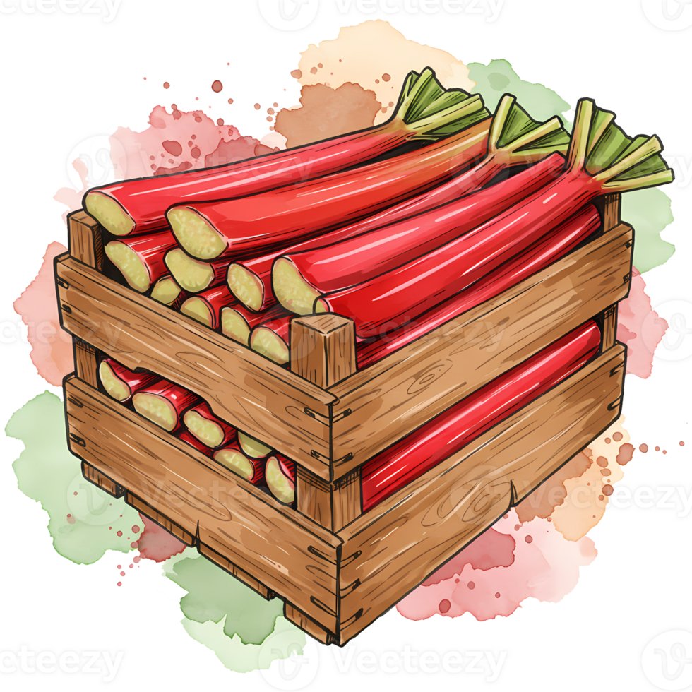 A wooden crate filled with stalks of fresh rhubarb with watercolor splashes around the crate art style on transparent background png