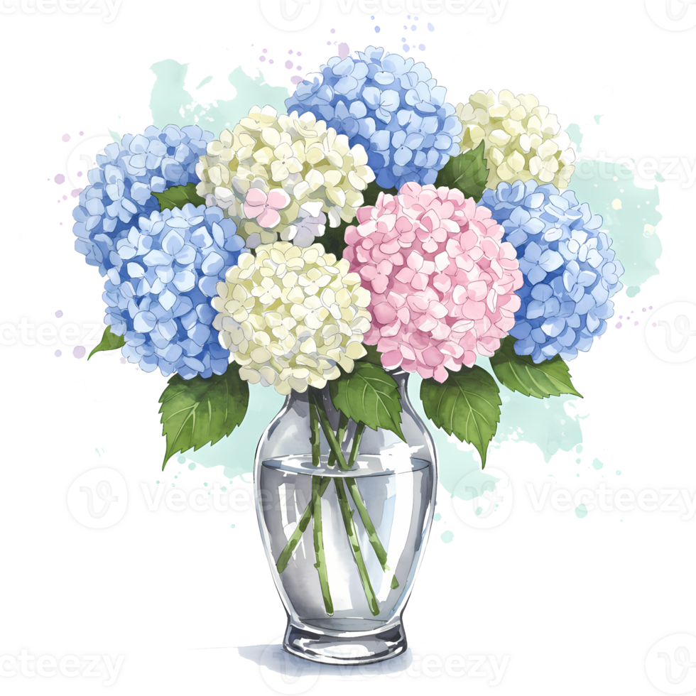 A bouquet of hydrangeas in a clear glass vase with blue white and pink flowers and green leaves shown on transparent background png
