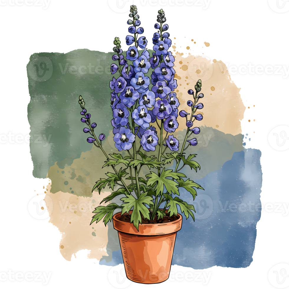 A potted delphinium plant with blue flowers against a watercolor style painted canvas texture effect on transparent background png