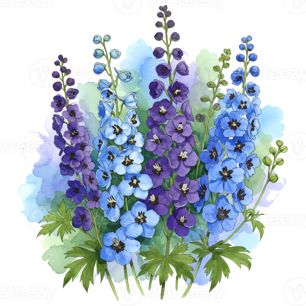 Watercolor painting of delphinium flowers in shades of blue and purple with green leaves and stems on transparent background png