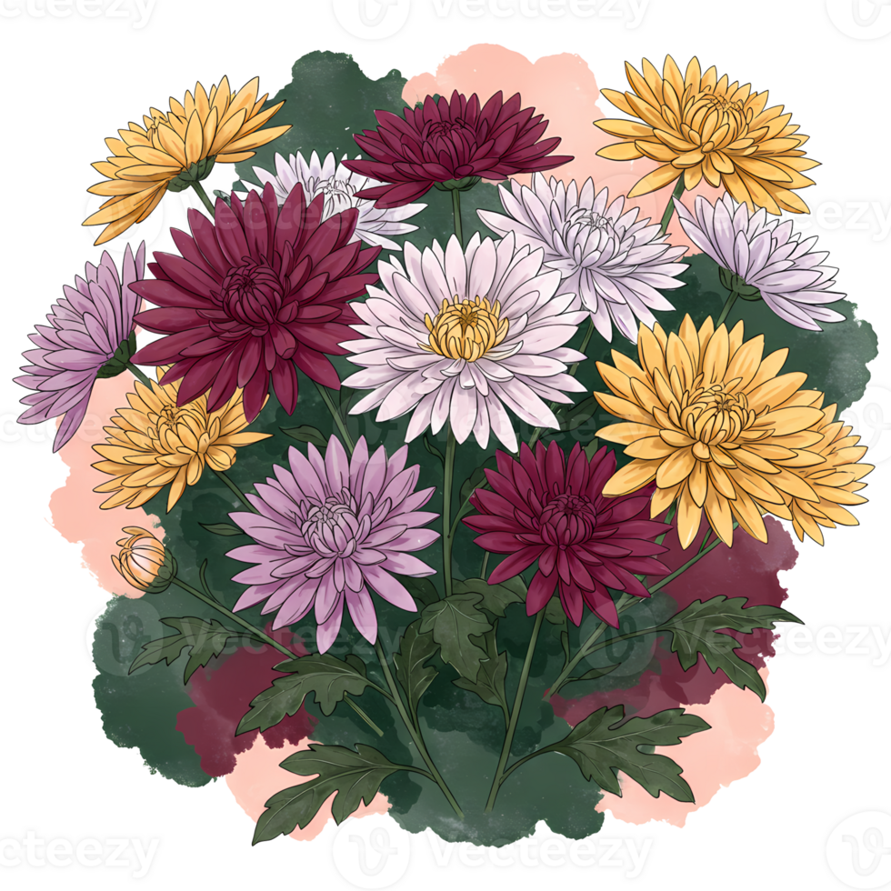 A vibrant assortment of chrysanthemums in yellow white purple and burgundy hues with green leaves on transparent background png