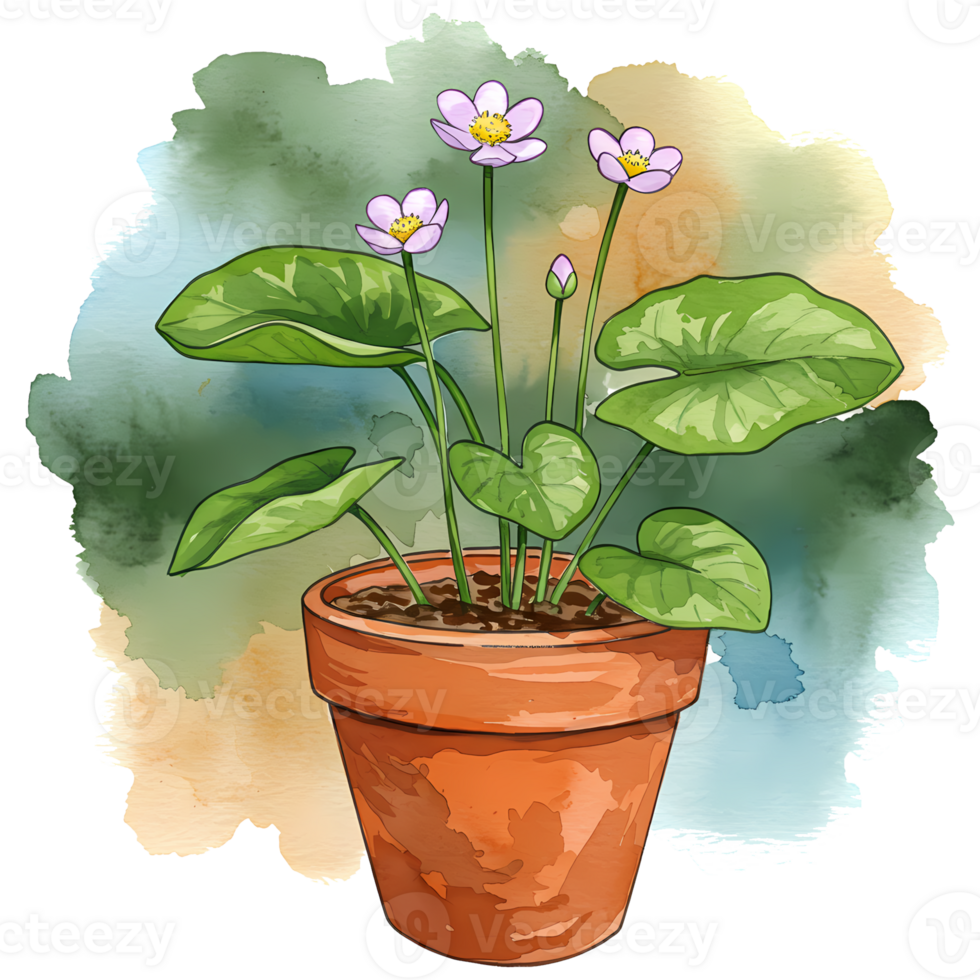 A potted plant with light purple flowers and large green leaves against a watercolor style backdrop art on transparent background png
