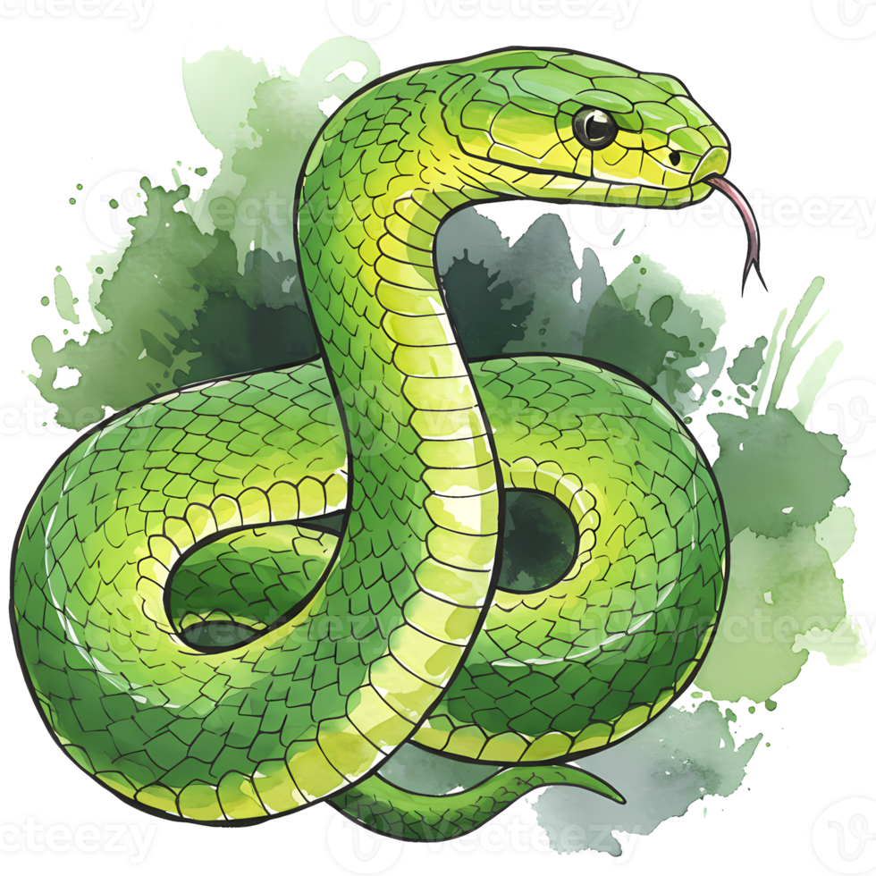 Coiled green snake illustration features vibrant scales and a forked tongue, set against a transparent background with watercolor splashes. png