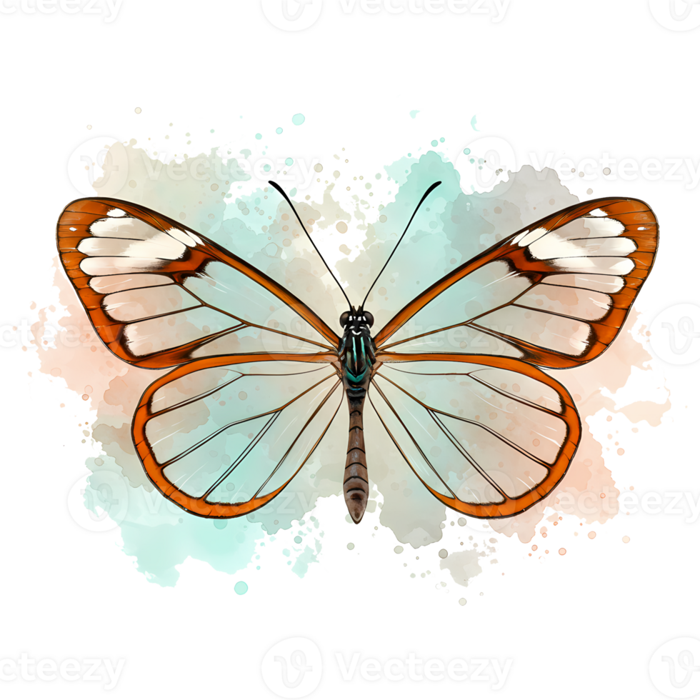An intricate butterfly illustration displays delicate transparent wings with a watercolor splash effect, isolated against a dark backdrop, transparent background png