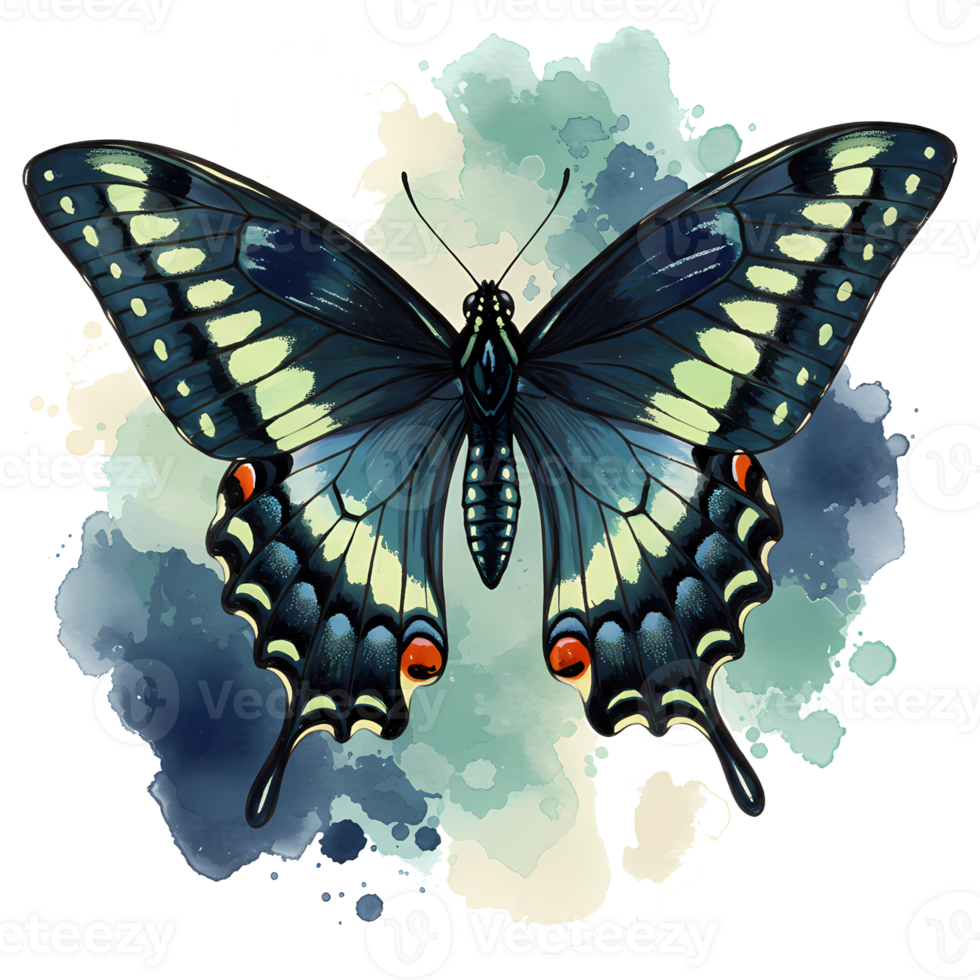 Watercolor butterfly illustration featuring a dark blue insect with intricate patterns on a transparent background, useful for designs. png