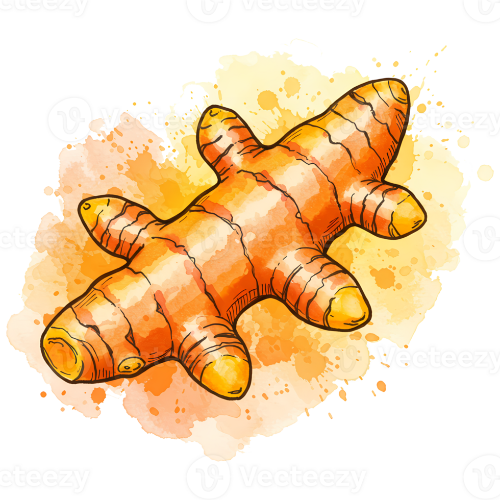 A watercolor illustration of a vibrant turmeric root with intricate details and an abstract orange and yellow background. png