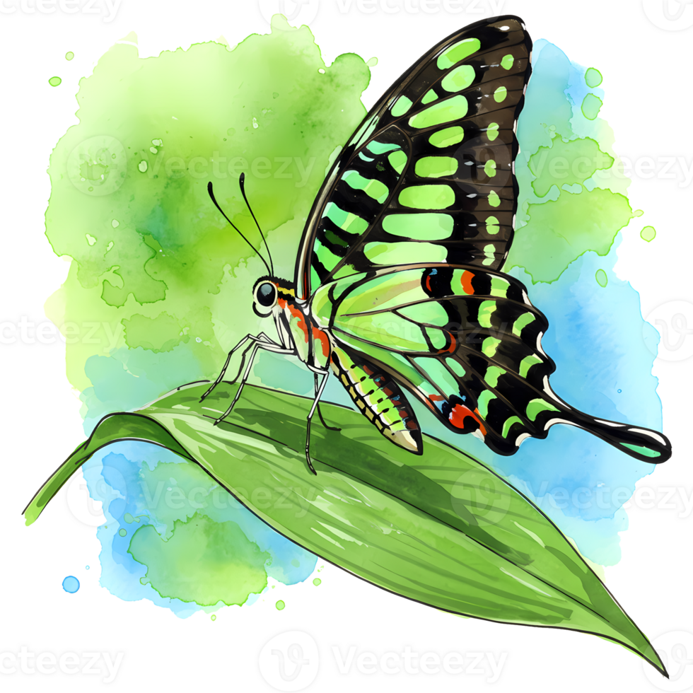 A watercolor painting features a vibrant green butterfly perched delicately on a green leaf with a splash of blues and greens. png