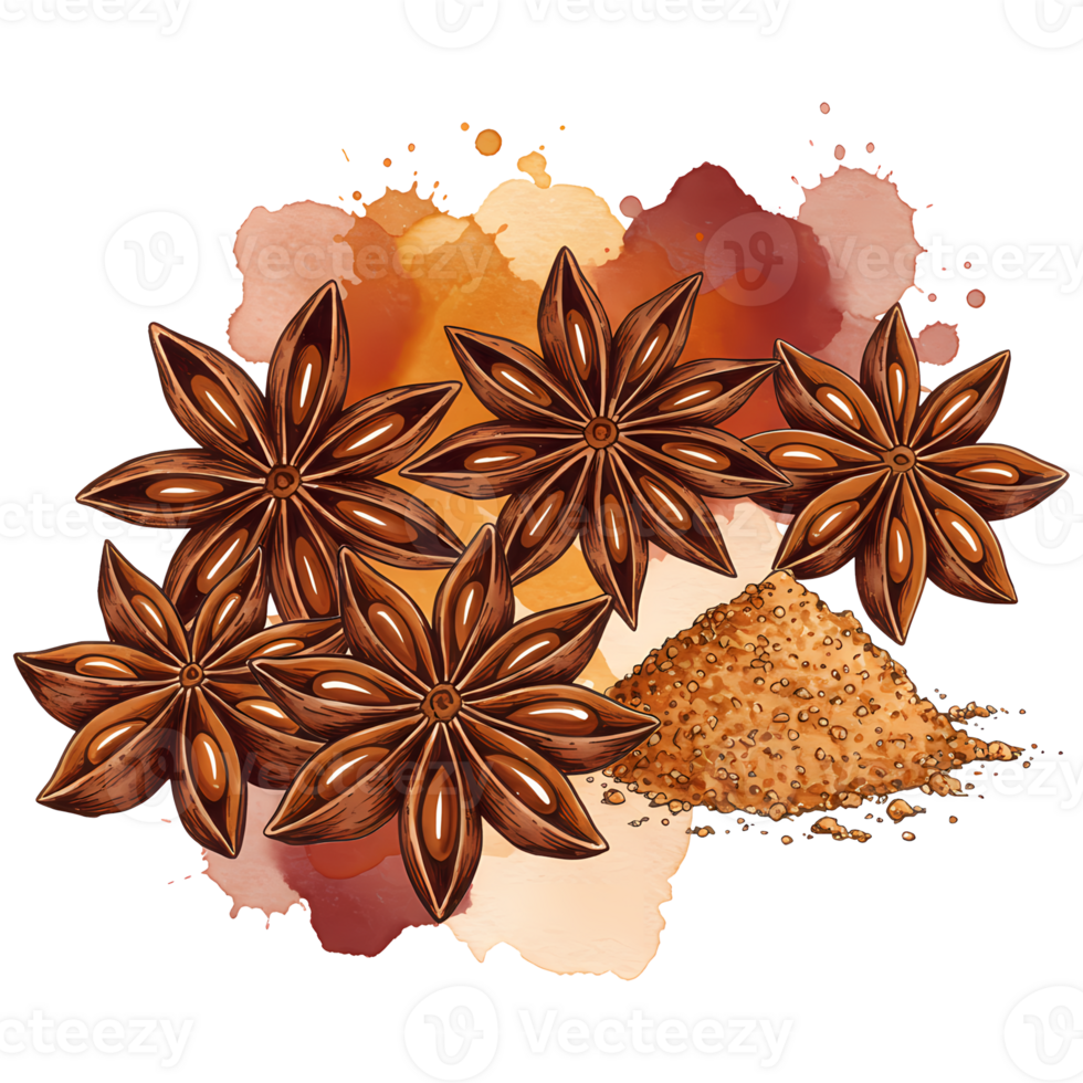 Charming watercolor illustration features aromatic star anise spice and brown sugar, ideal for culinary and festive themes, transparent background png