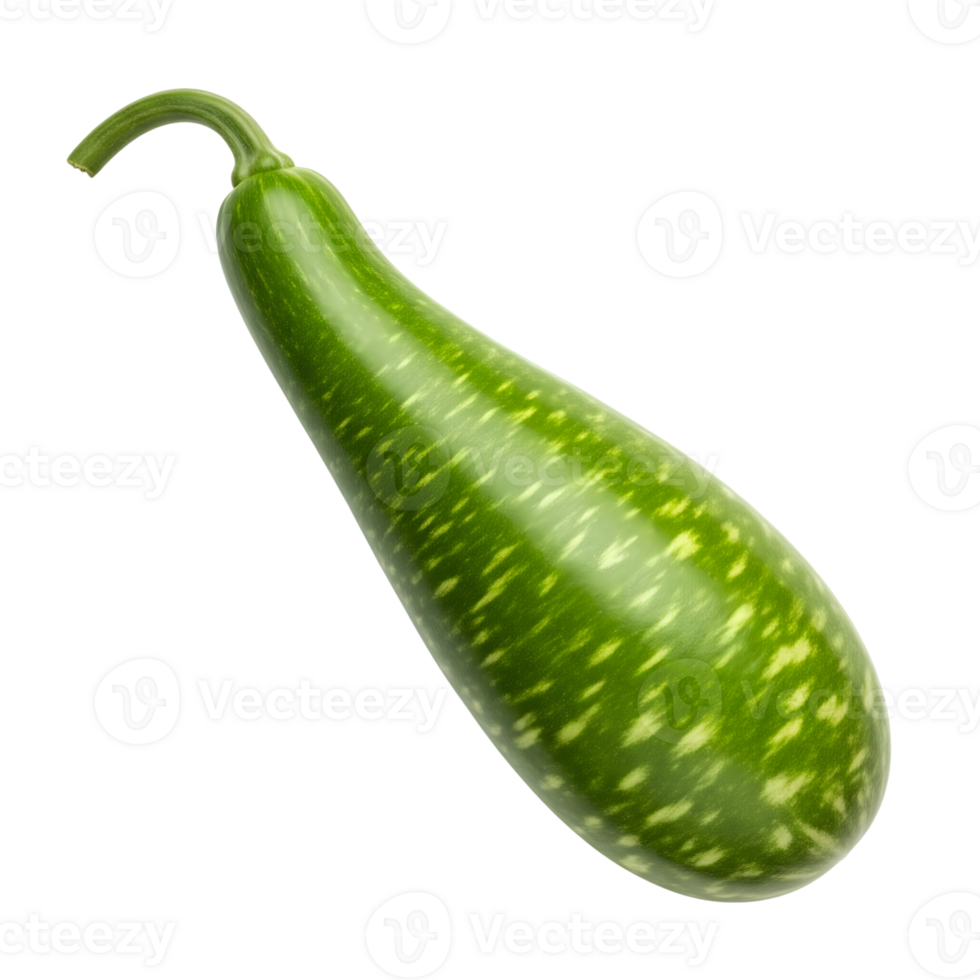 A fresh green bottle gourd with light speckles is isolated on a transparent background png