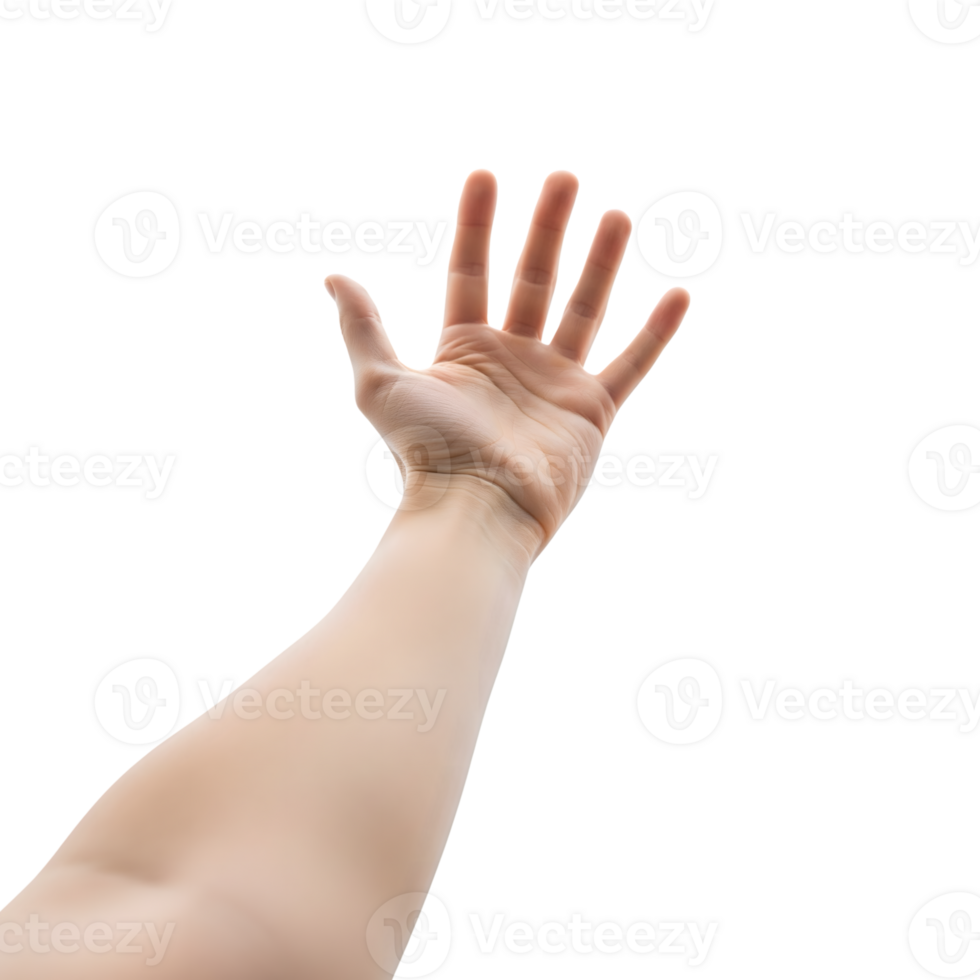 A human hand is reaching up, isolated on transparent background png