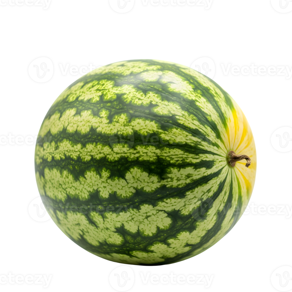 A perfectly round watermelon displays its vibrant green stripes against a pristine white backdrop in a studio setting isolated on transparent background png