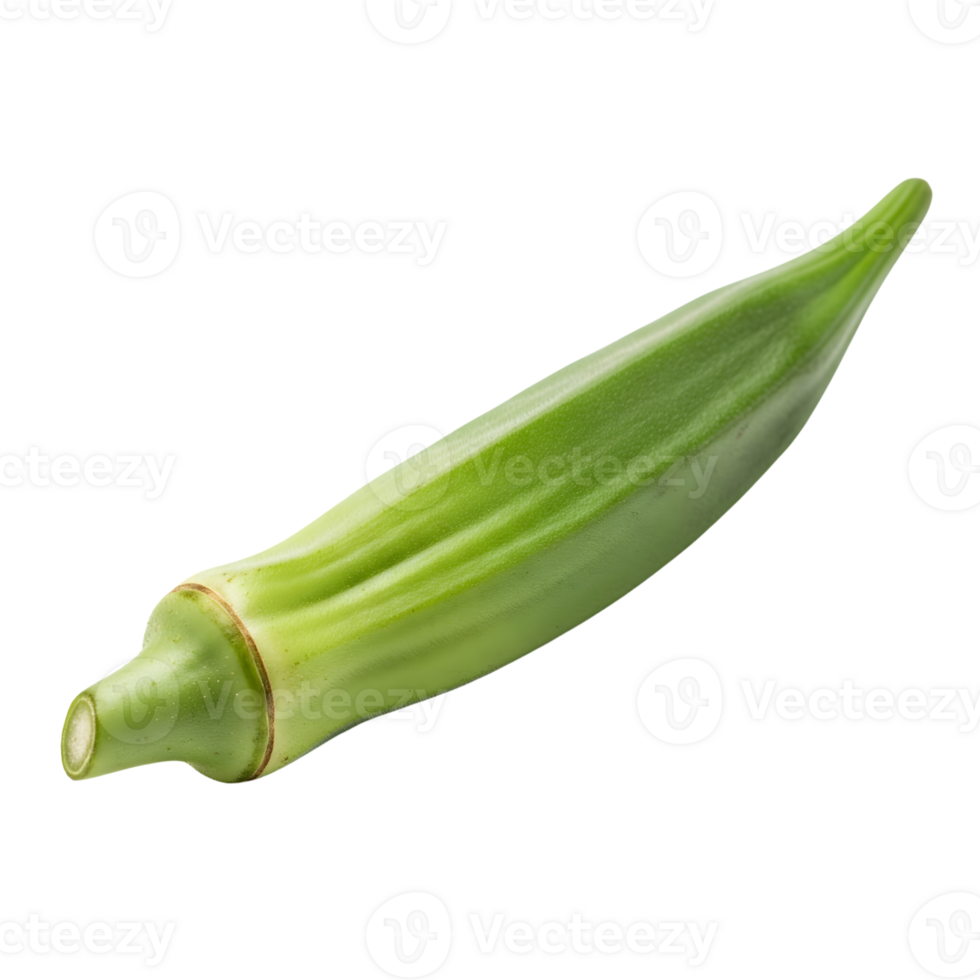 A single, fresh okra pod, showcasing its vibrant green color and natural texture against a clean transparent background png