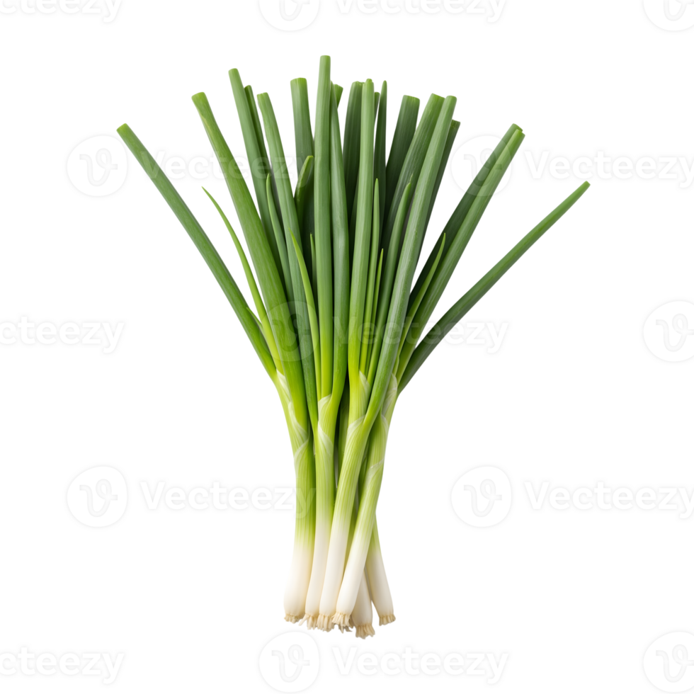 A vibrant bunch of fresh green scallions stands upright against a transparent background, showcasing their natural beauty and culinary potential png