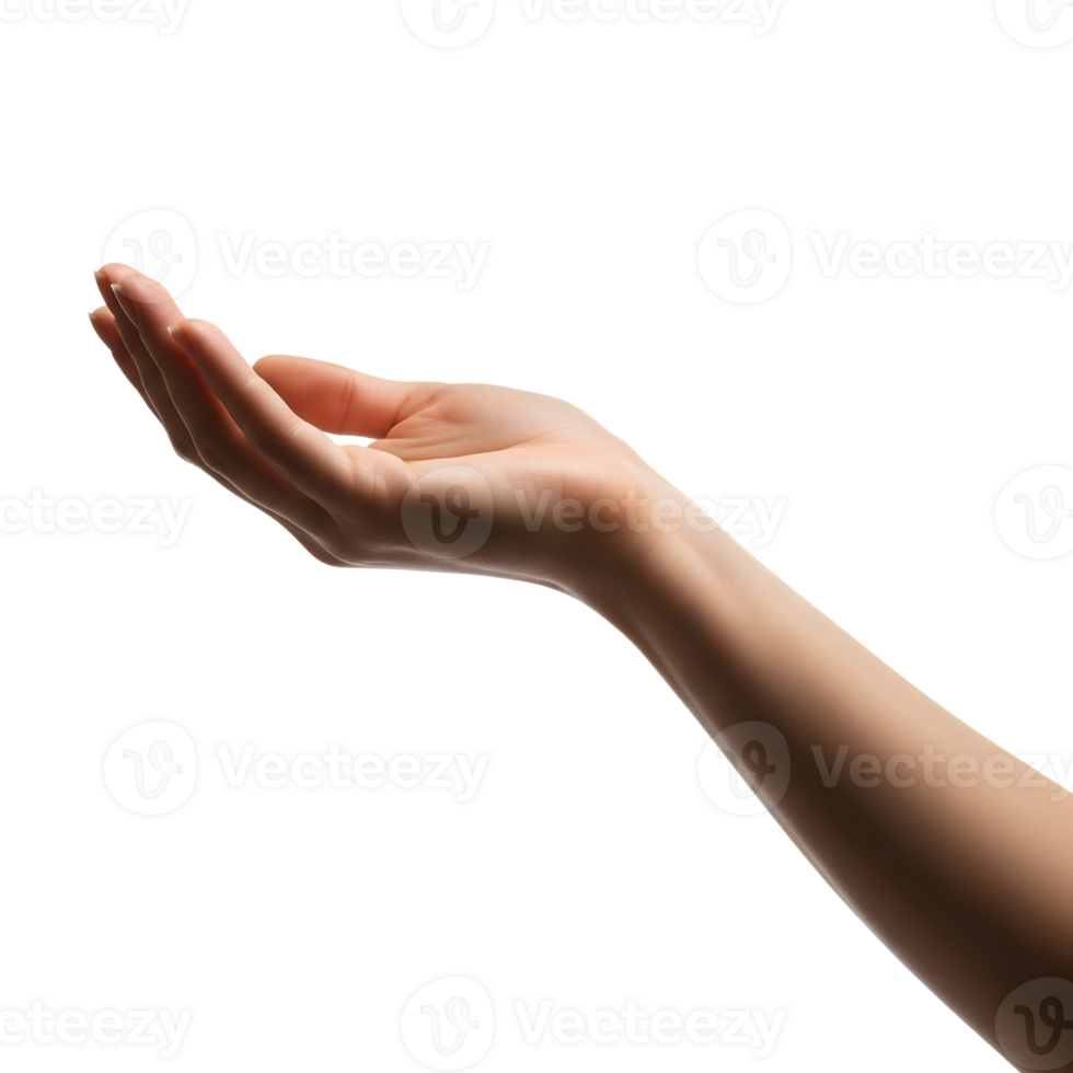 A womans hand is open and reaching up, isolated on transparent background png
