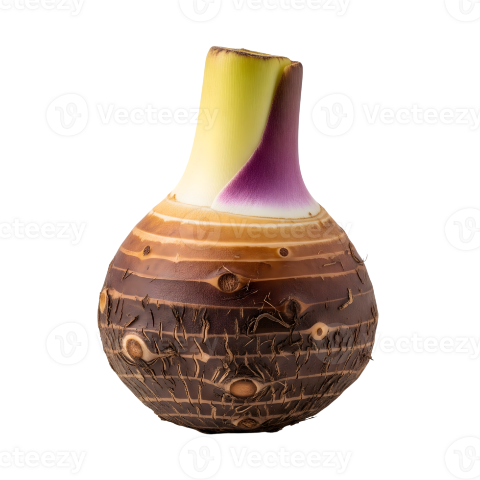 A whole taro root vegetable with brown skin and purple stem is isolated on transparent background for culinary use png