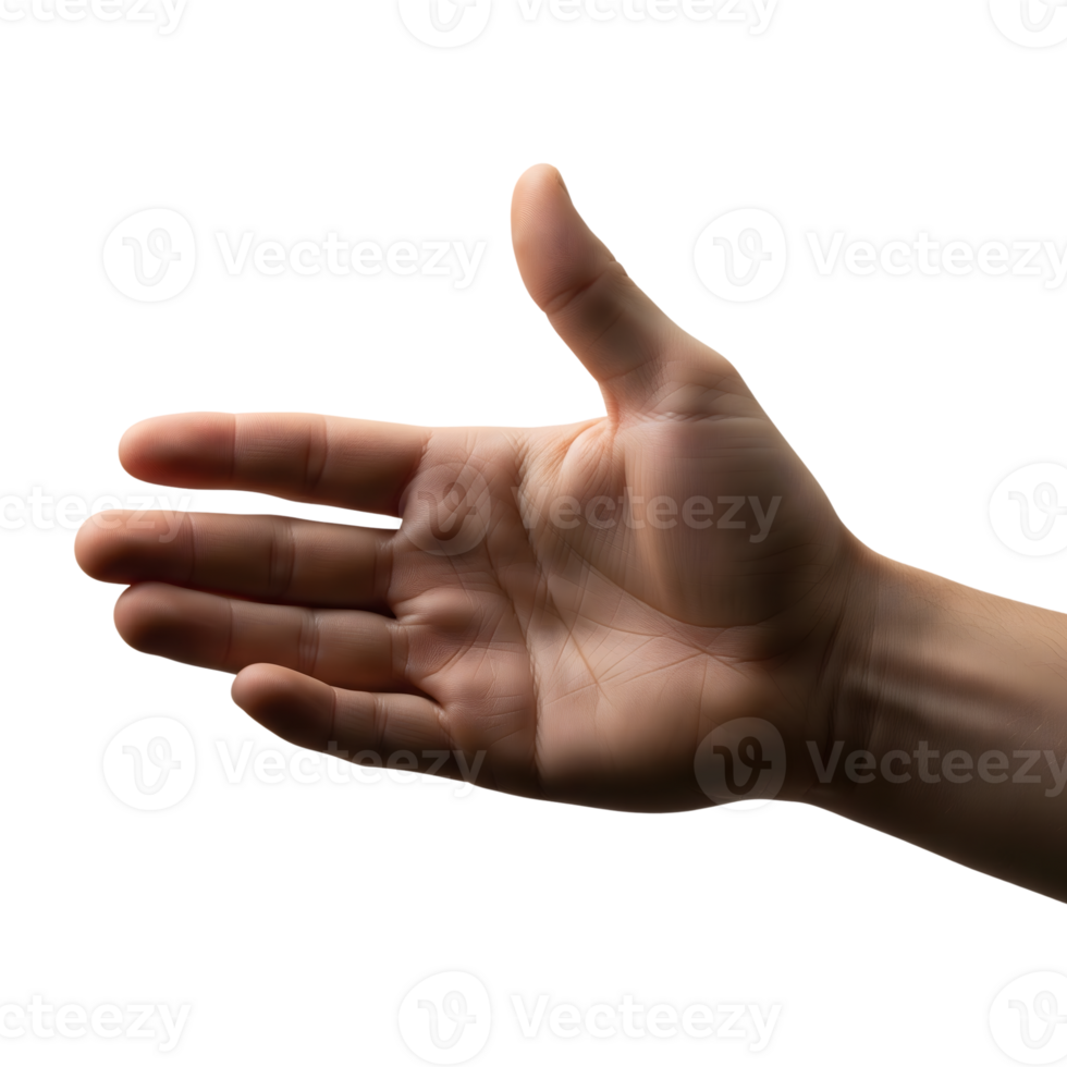 Open human hand with thumb up isolated on transparent background png