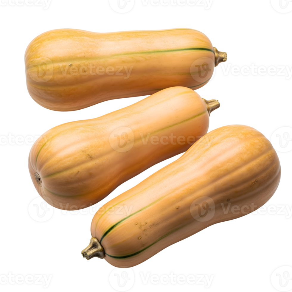 Three butternut squash lie together, showcasing their smooth orange skin, isolated on transparent background png