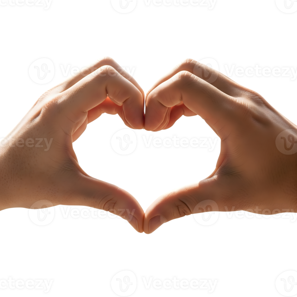 Two hands are forming a heart shape isolated on transparent background png