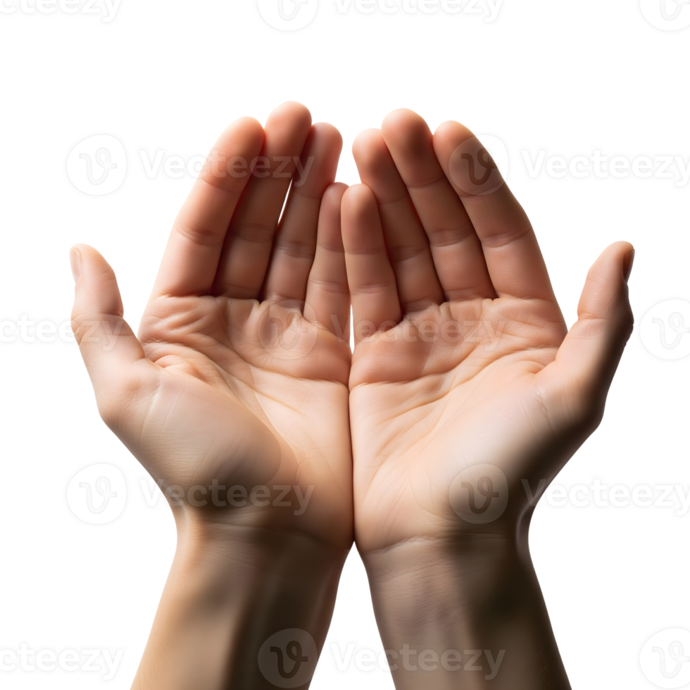 Two open hands with cupped palms reach upwards against a transparent background, conveying a sense of offering, receiving, or protection png
