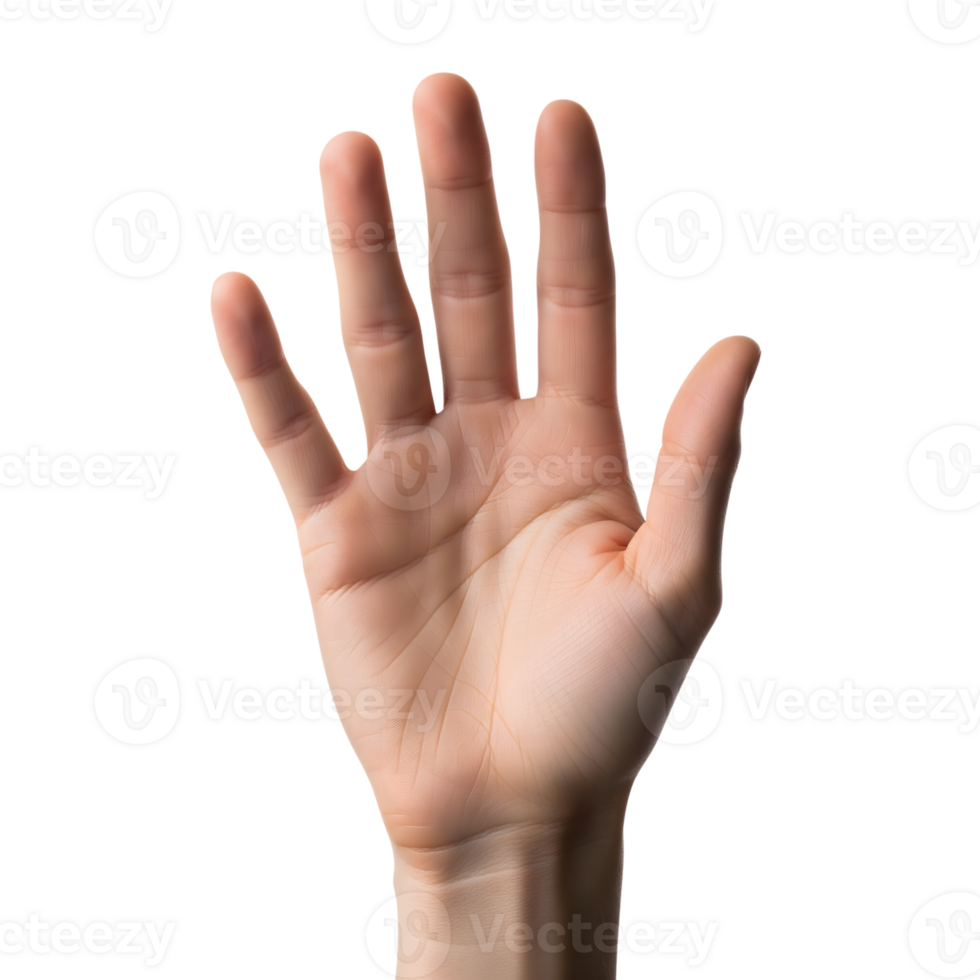 A closeup of a human hand with fingers extended, isolated on transparent background png