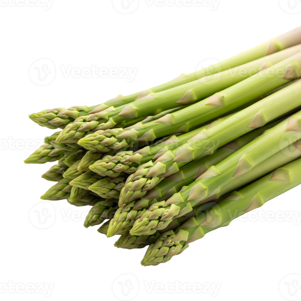 A bundle of fresh green asparagus spears isolated on transparent background, showcasing their vibrant color and healthy appeal png