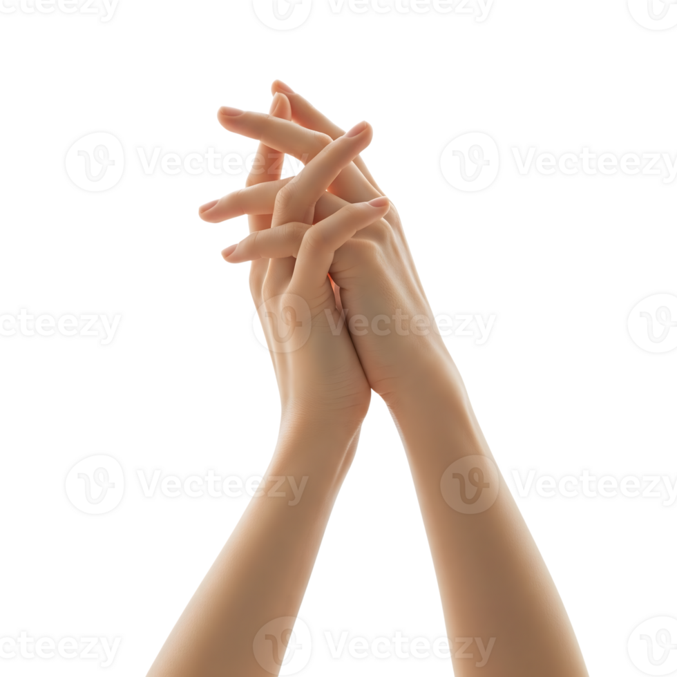 Elegant hands intertwined in a graceful gesture, isolated on transparent background, showcasing delicate skin and a minimalist aesthetic png