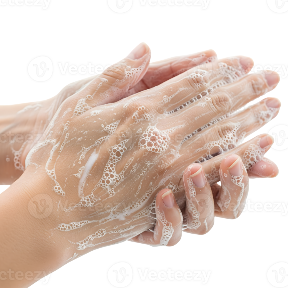 Close up of hands washing with soap and water isolated on transparent background to prevent germs and maintain hygiene png