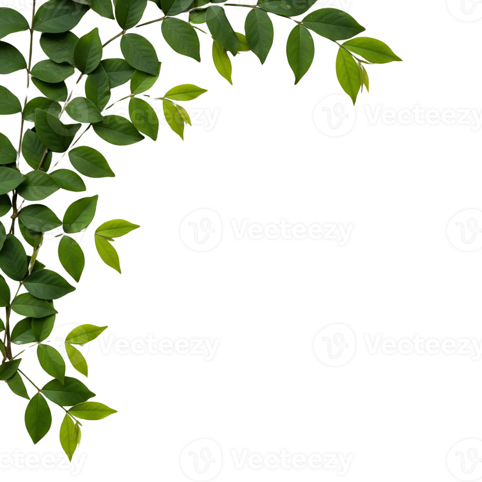 Lush Green Branch with Vibrant Leaves Corner Design Element isolated on a transparent background png