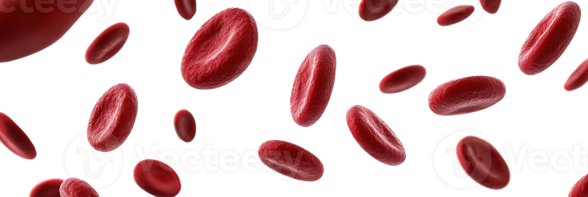 Floating red blood cells in a clean, isolated environment showcasing human anatomy png