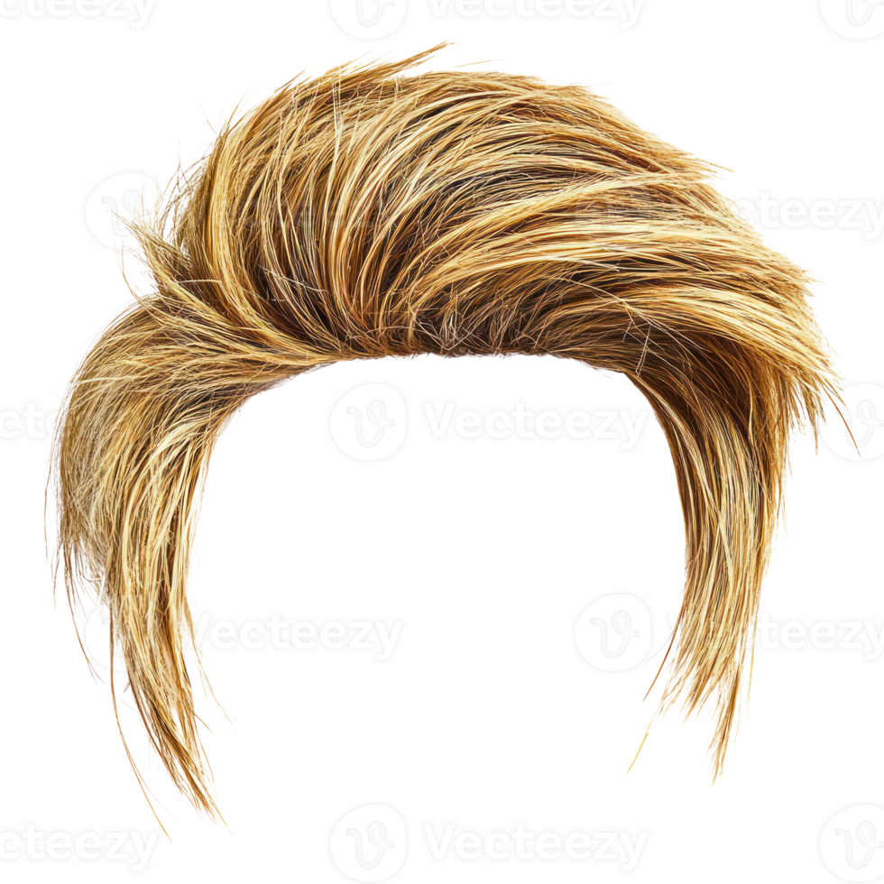 Stylish layered blonde hairstyle with textured finish for modern looks and fashion savvy individuals png