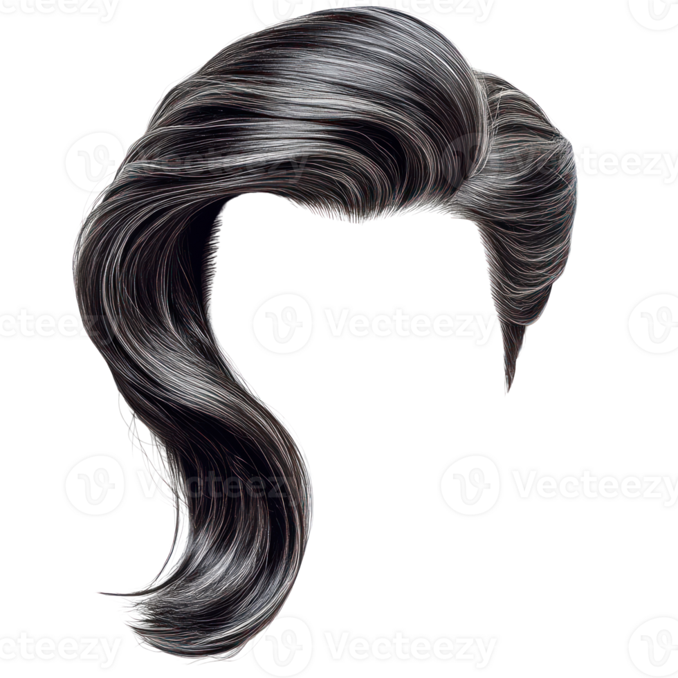 Stylish black and silver hair design showcasing a unique wave pattern for fashion or costume use png