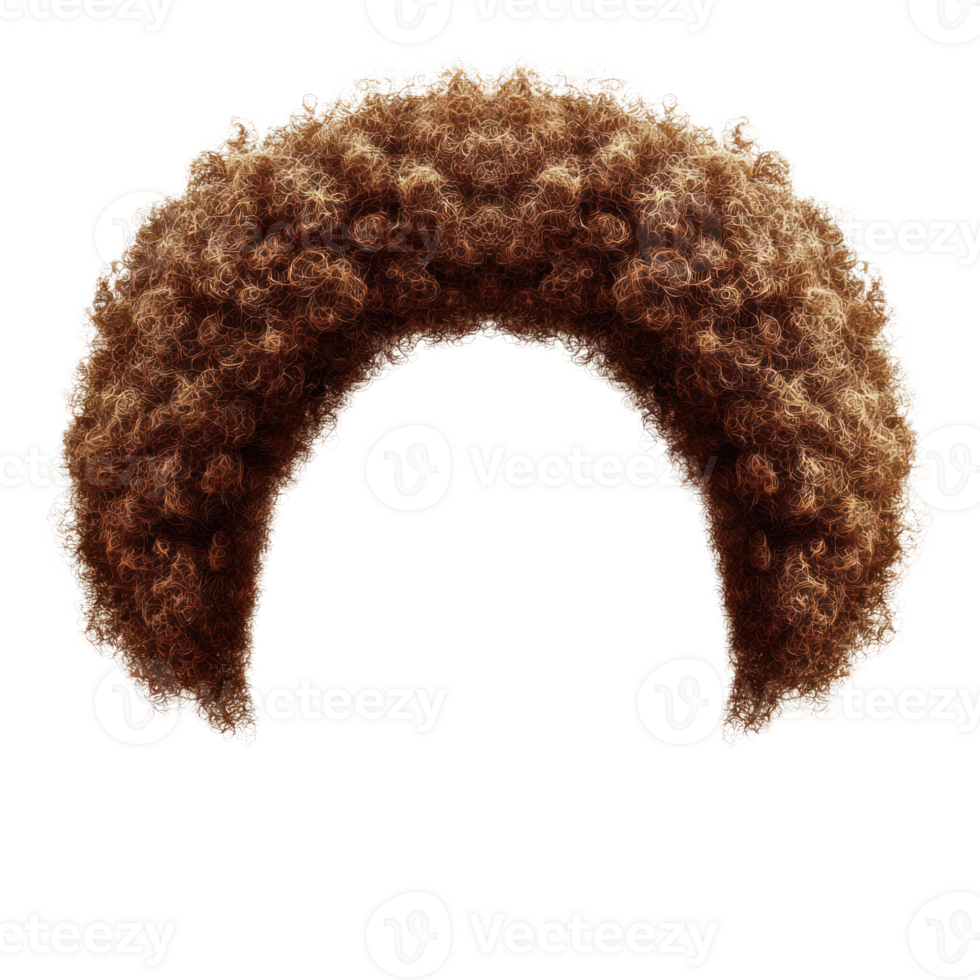 Curly brown hairpiece with voluminous curls, perfect for costumes and theatrical performances png