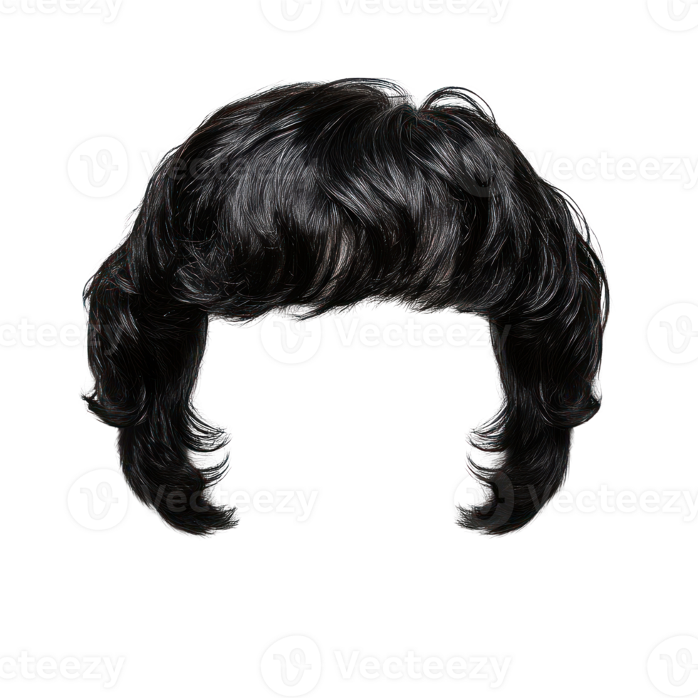 Classic black wig with voluminous curls for unique styling and costume purposes png