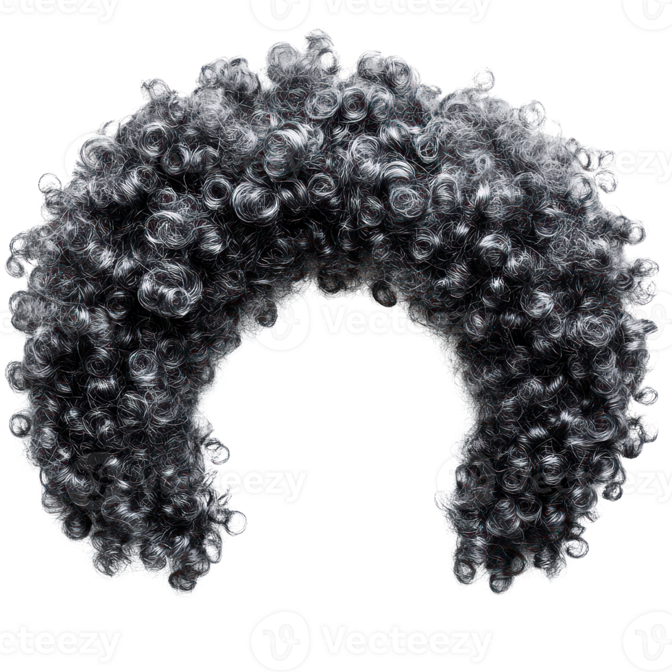 Curly black and gray hairpiece isolated on a white background ideal for costumes or theatrical performances png