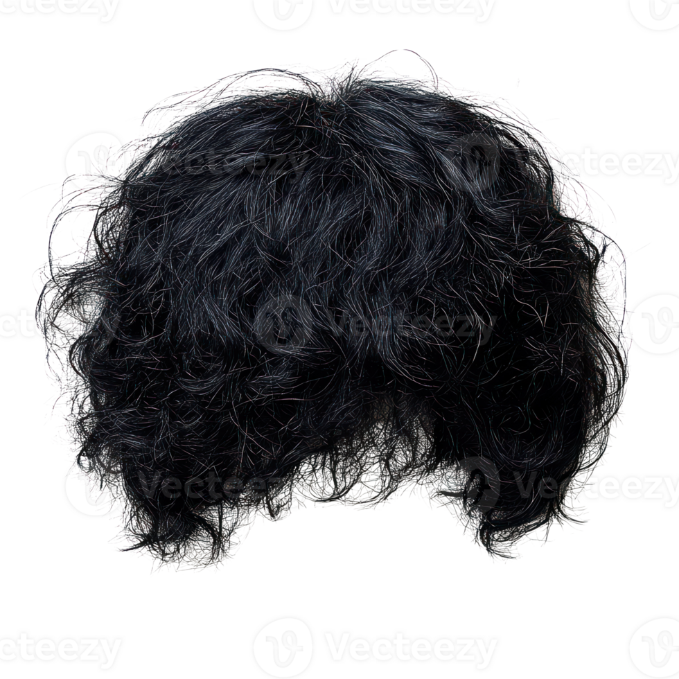 Curly black wig with volume isolated on a white background for costume and fashion use png