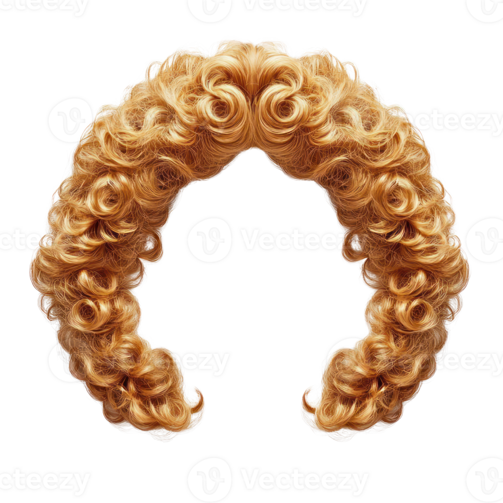 Curly blonde hairstyle with voluminous curls set against a plain white background for distinct styling options png