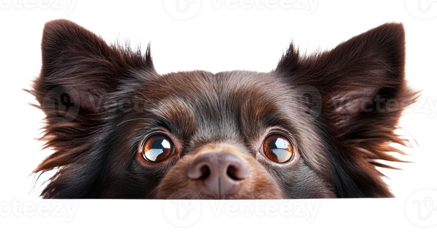 Curious dog peeking over a surface with expressive eyes and large ears png