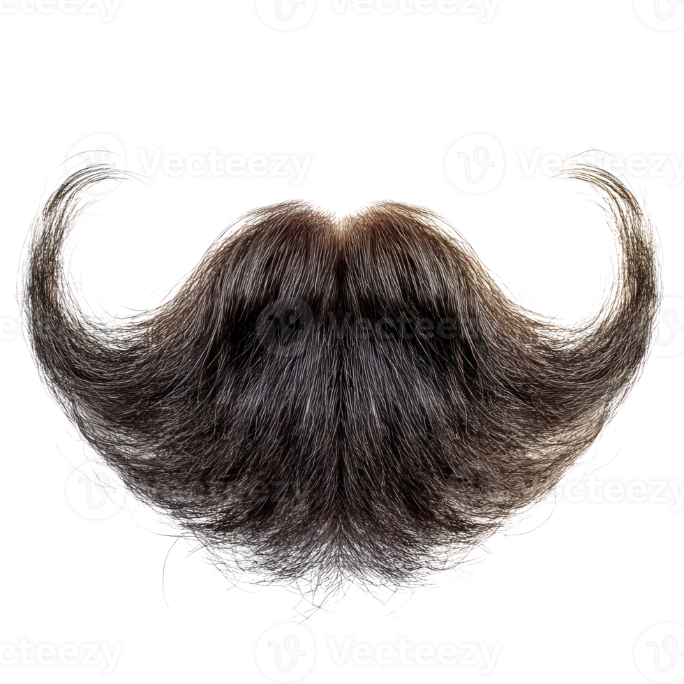 Unique and stylish isolated mustache with a dramatic shape and texture png