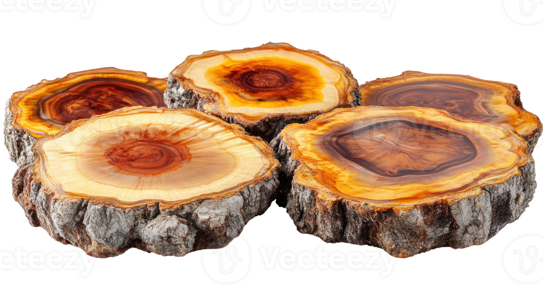 Natural wooden slices arranged on a white background showcasing intricate patterns and textures of the wood png