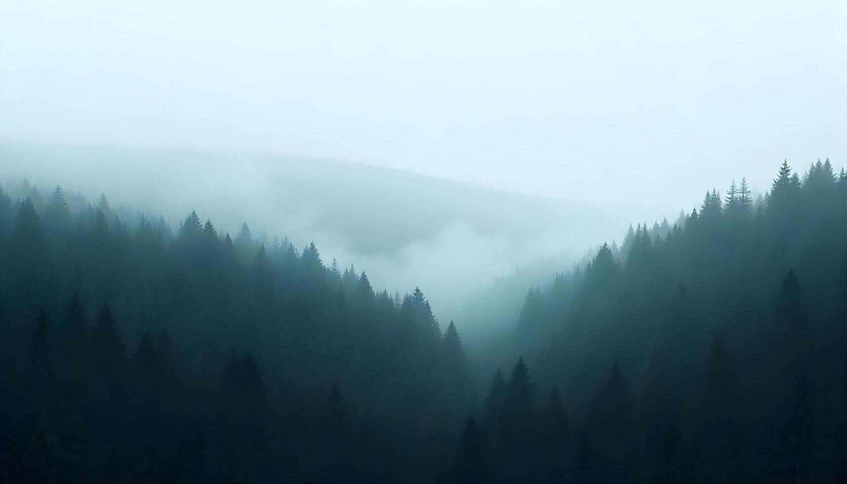 Mysterious valley filled with fog and trees, creating a serene and atmospheric landscape scene. photo
