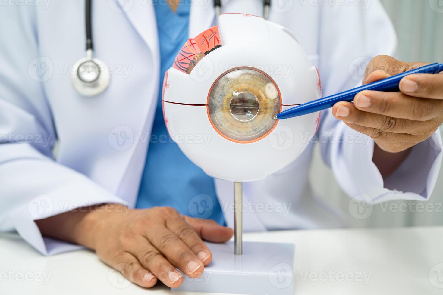 Asian doctor with eye human anatomy model for study diagnosis and treatment in hospital. photo