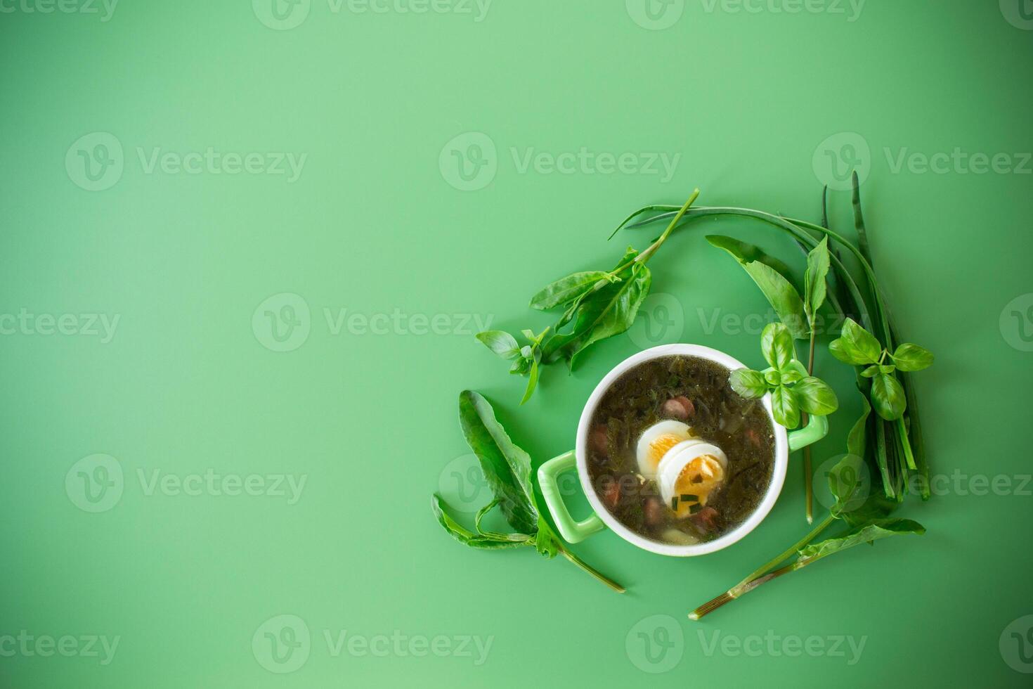 Ukrainian green borscht. Appetizing spring sorrel borscht isolated on a green background . photo