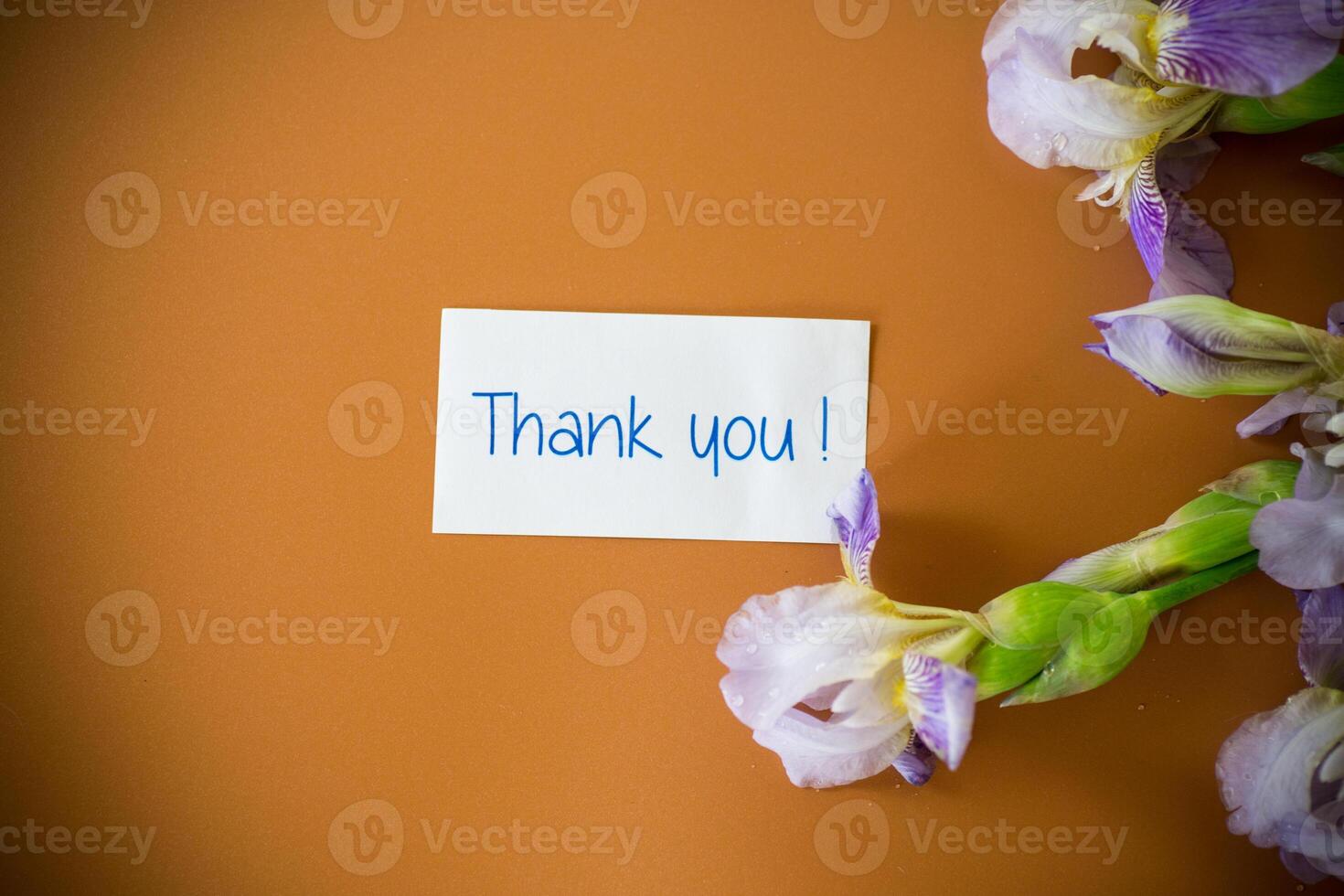 Fresh cut irises with bright greenery on a brown background . photo
