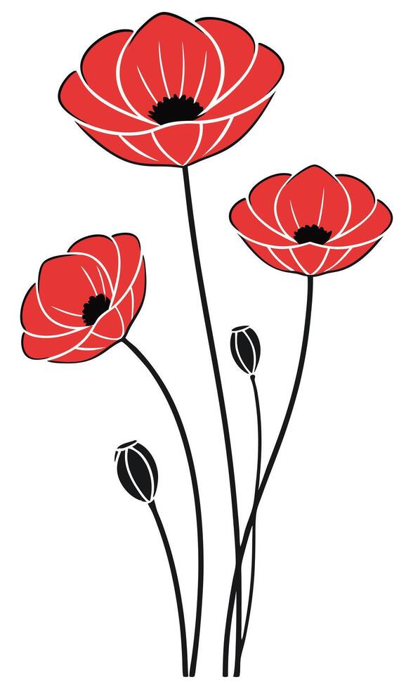 Red poppies with black stems and buds floral botanical vector